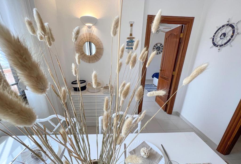 Paradise Seaview Apartment 아데제 외부 사진